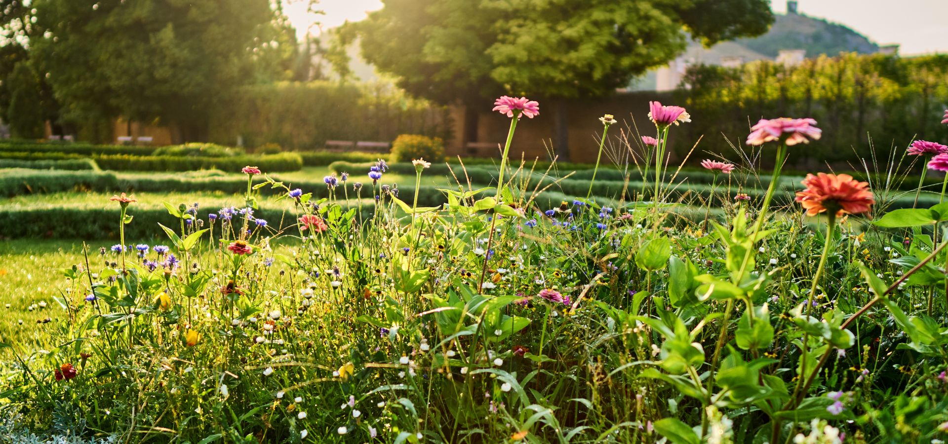 Otevřená zahrada zámku Mikulov